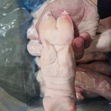 猪蹄