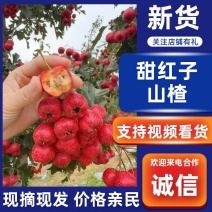 泰安甜红子山楂大量上市规格齐全皮薄肉糯欢迎来电咨询