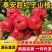 【基地直供】山东泰安正宗甜红子山楂品质保证支持一件代发
