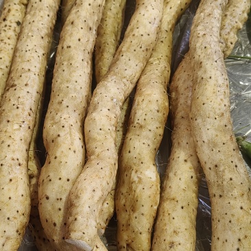 野生品种山药粉糯香甜，营养丰富，煲汤，煮粥，打火锅。