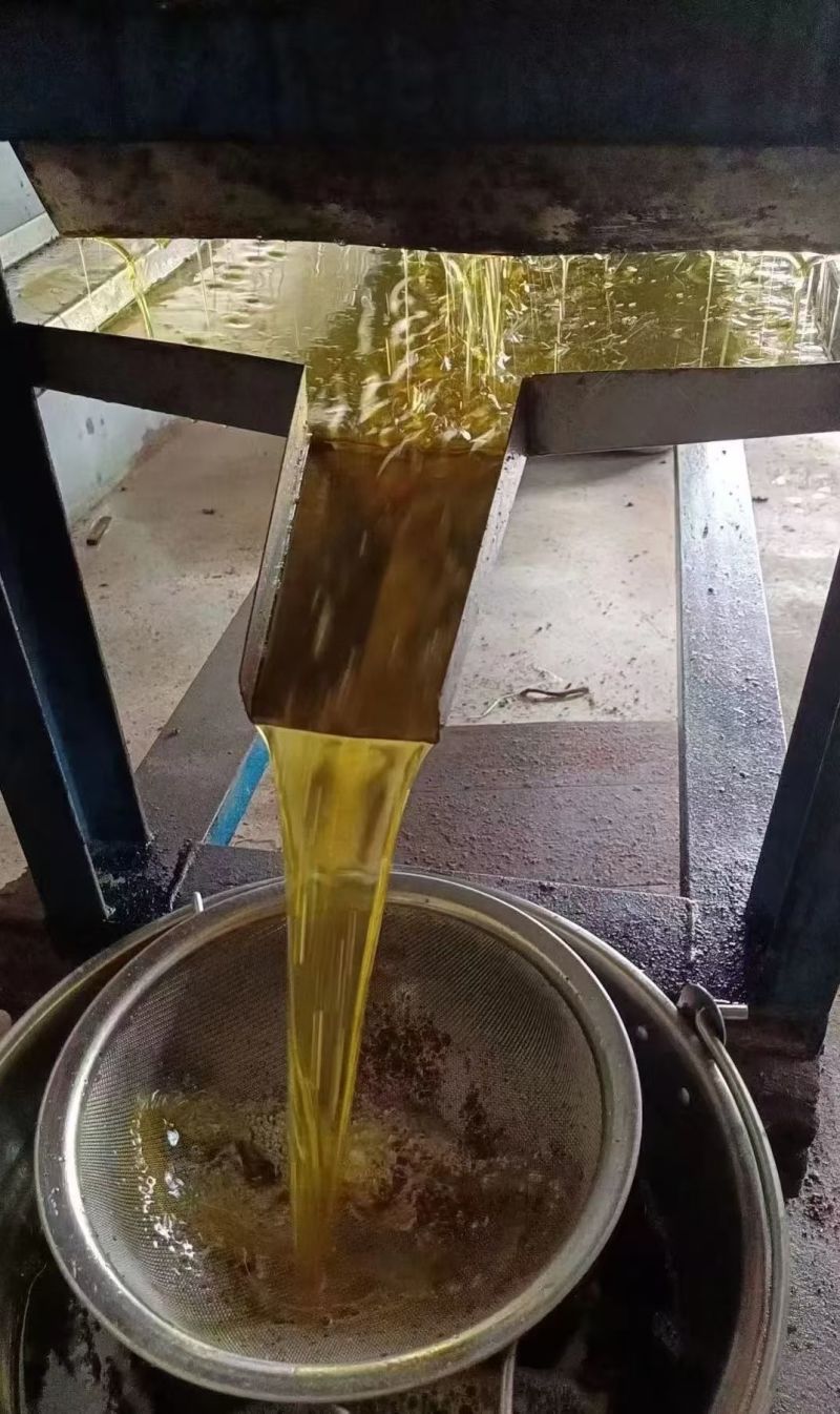 福建福州永泰正宗小籽山茶油