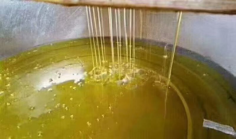 福建福州永泰正宗小籽山茶油
