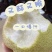 精品砀山酥梨产地直发一手货源保质保量代发全国