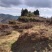 山地果园出租