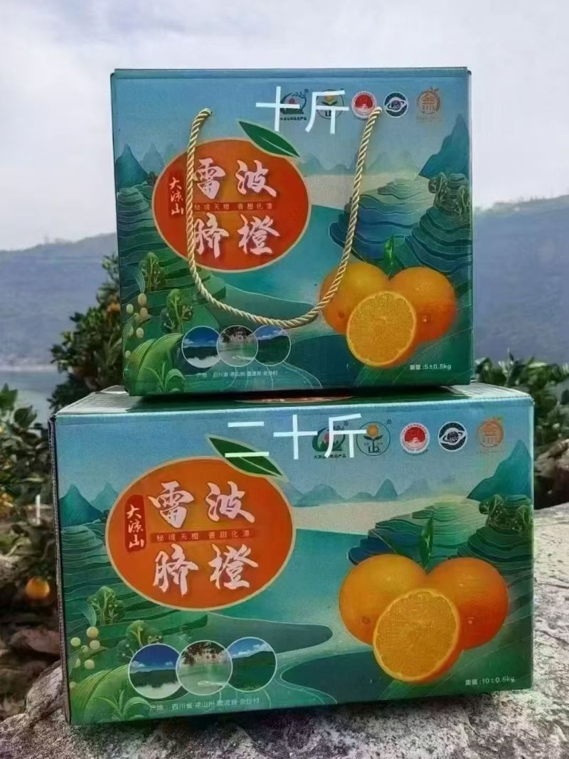 雷波脐橙四川特色基地直发对接商超团购电商一条龙