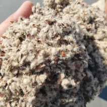 长绒棉壳