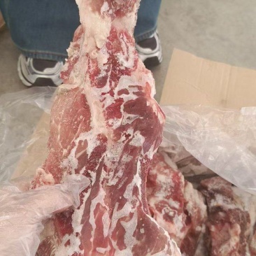 猪尾叉骨
