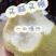 砀山精品酥脆1号梨酥梨产地直发质量保证欢迎来电咨询