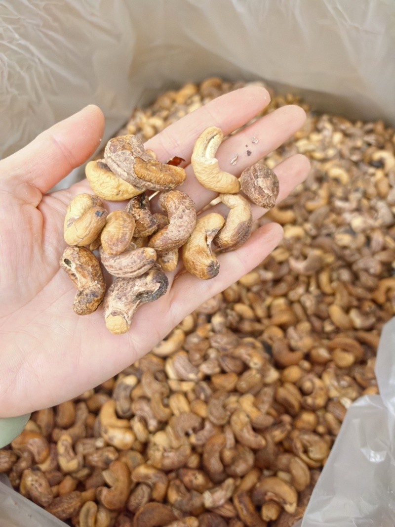 紫衣腰果大果好货