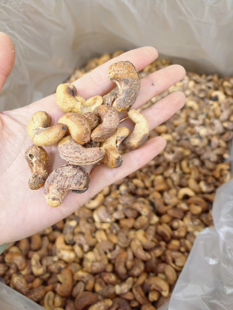紫衣腰果大果好货