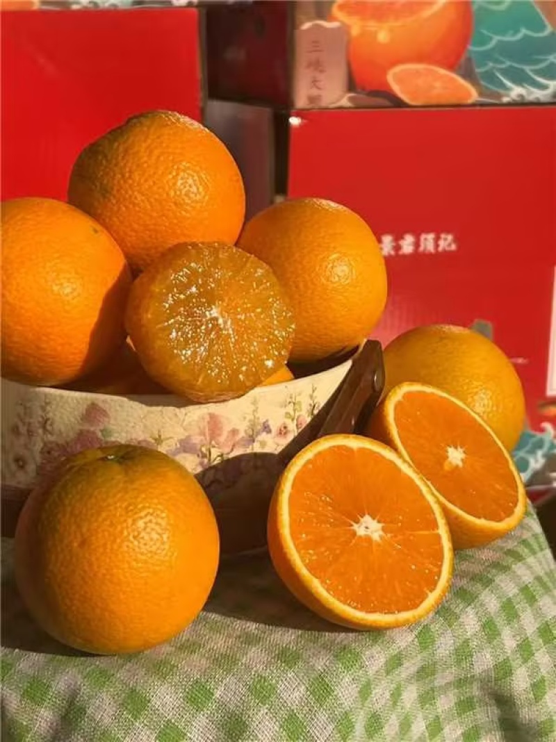 湖北精品九月红果冻橙产地直发货源充足量大价优欢迎随时联系