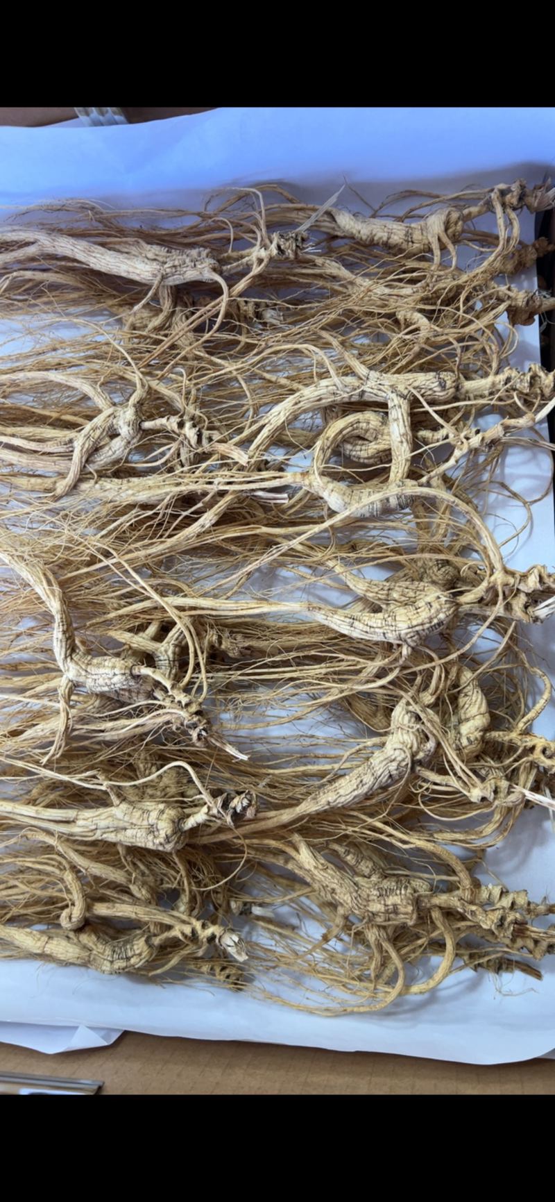 林下参子货14—5年装精品礼盒送礼特别高大上