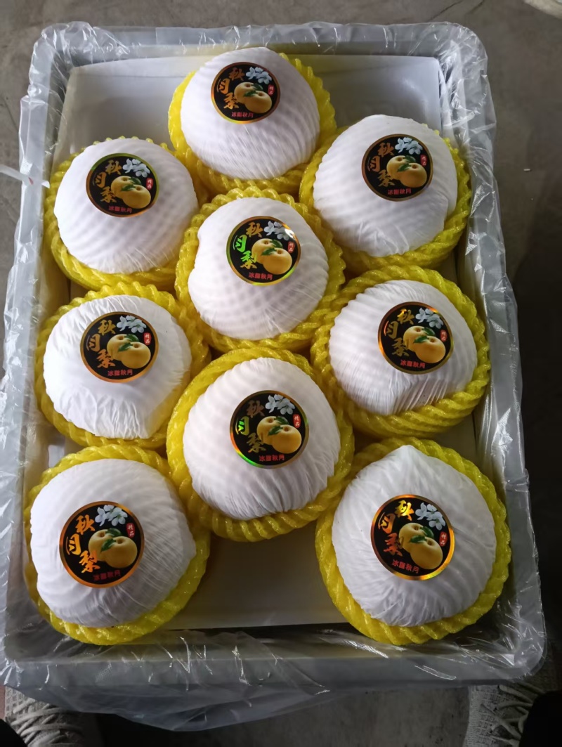 精品酥梨，砀山酥梨，自产自销，量大从优，价格美丽全国下单