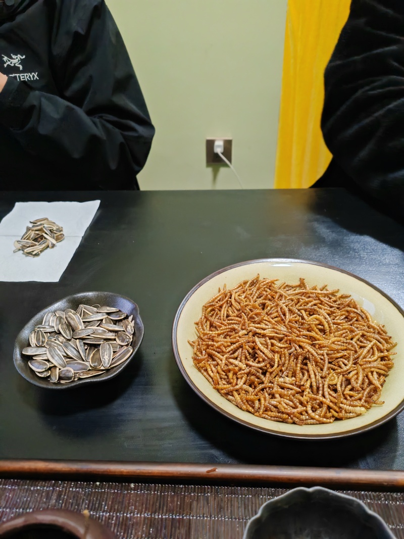 黄粉虫干，面包虫干