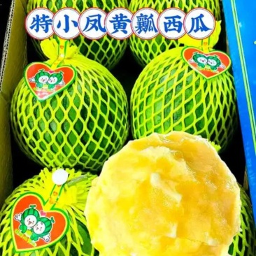 江苏盐城特小凤西瓜台农种植黄肉西瓜高糖度欢迎品尝
