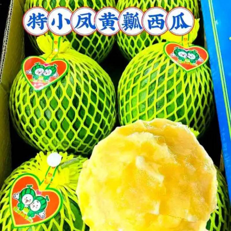 海南乐东特小凤西瓜台农种植黄肉西瓜高糖度欢迎品尝