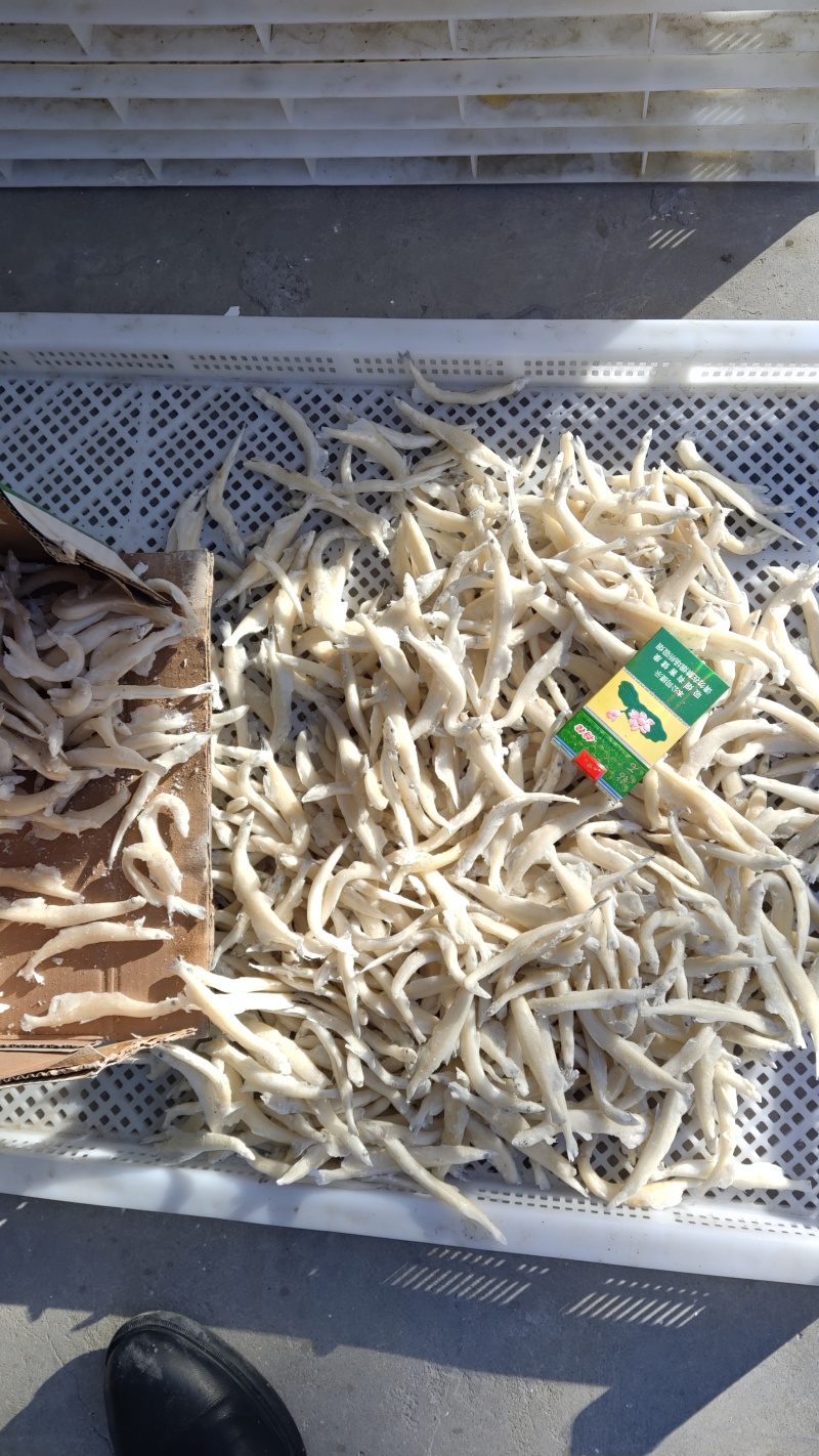 大银鱼黑龙江大条银鱼单冻银鱼