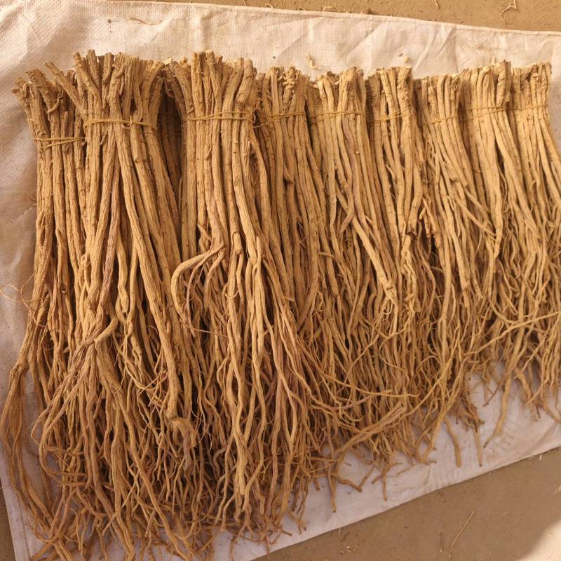 防风规格齐全品种齐全基地直发保质保量量大优惠