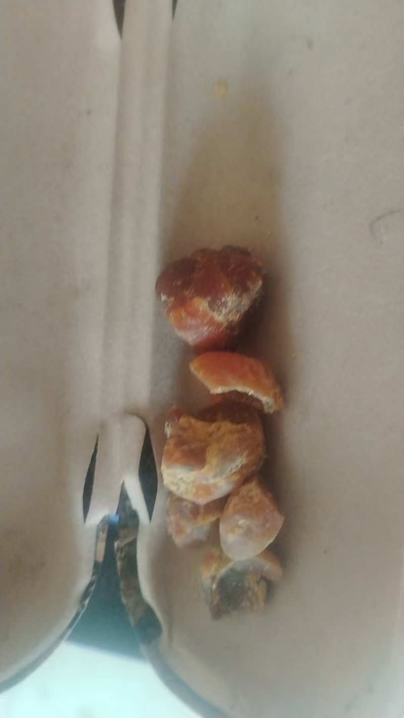 鸡宝