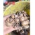 鲜沙姜，山奈，现挖现发，量大优惠