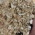 宁夏产地花生壳可直接做饲料造颗粒无土无膜