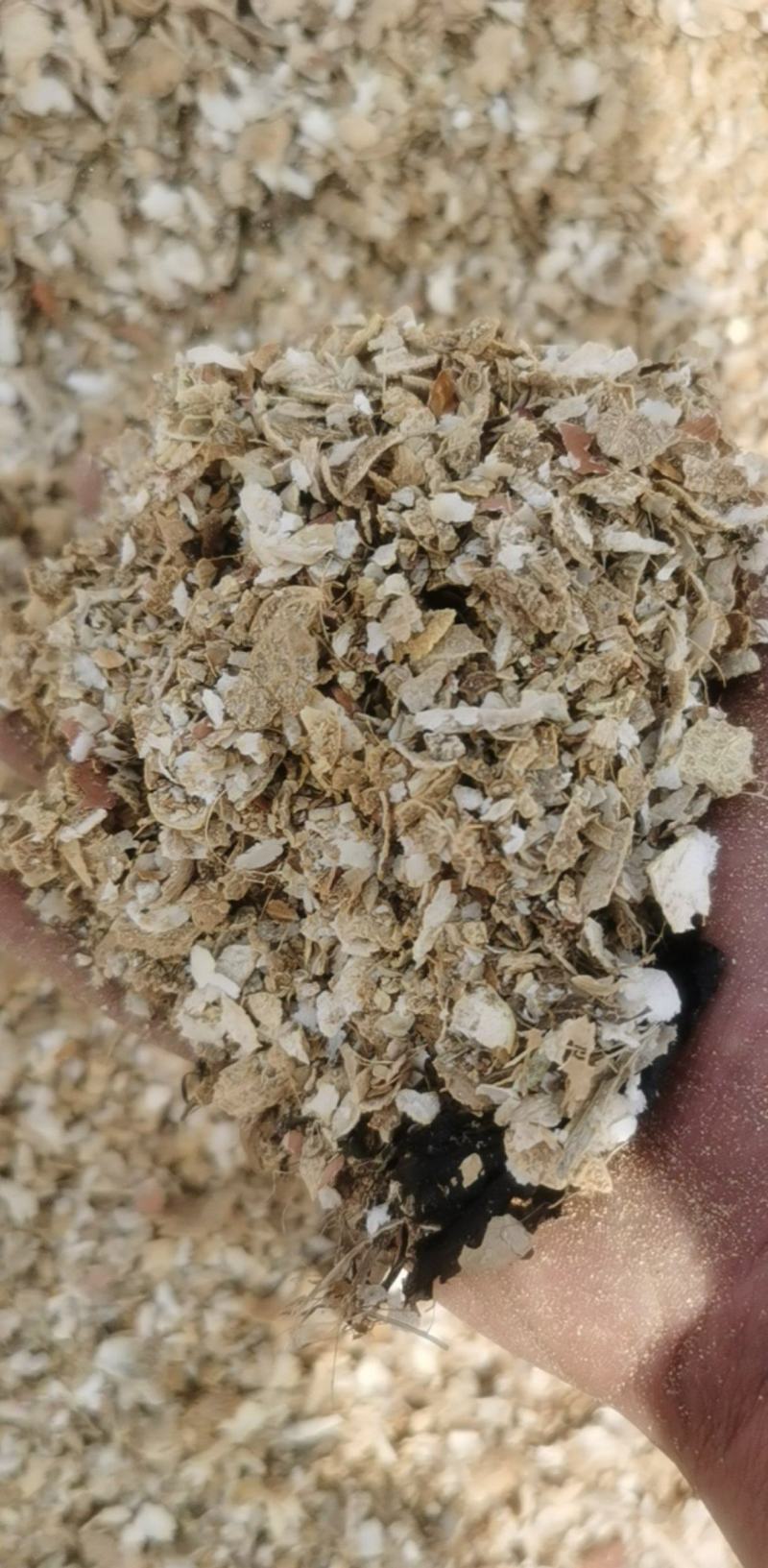 宁夏产地花生壳可直接做饲料造颗粒无土无膜