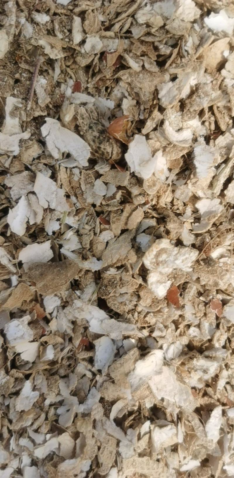 宁夏产地花生壳可直接做饲料造颗粒无土无膜