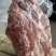 梅花肉