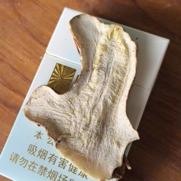 大通货一年生切片（安国本地）
