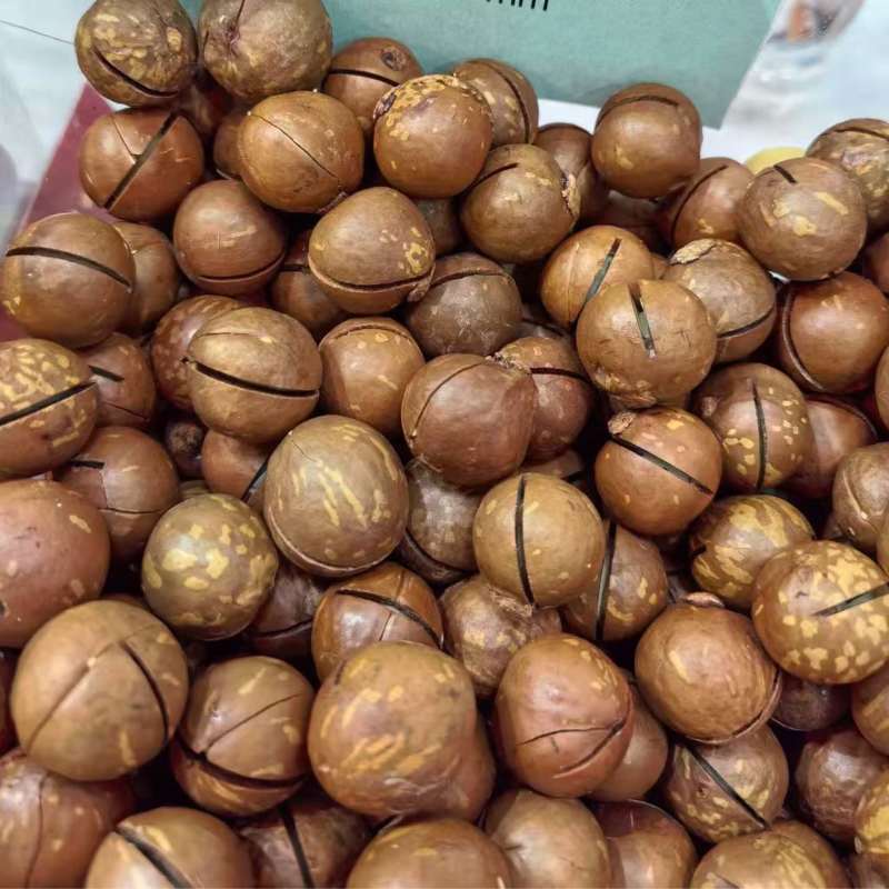 奶香味夏威夷果中果