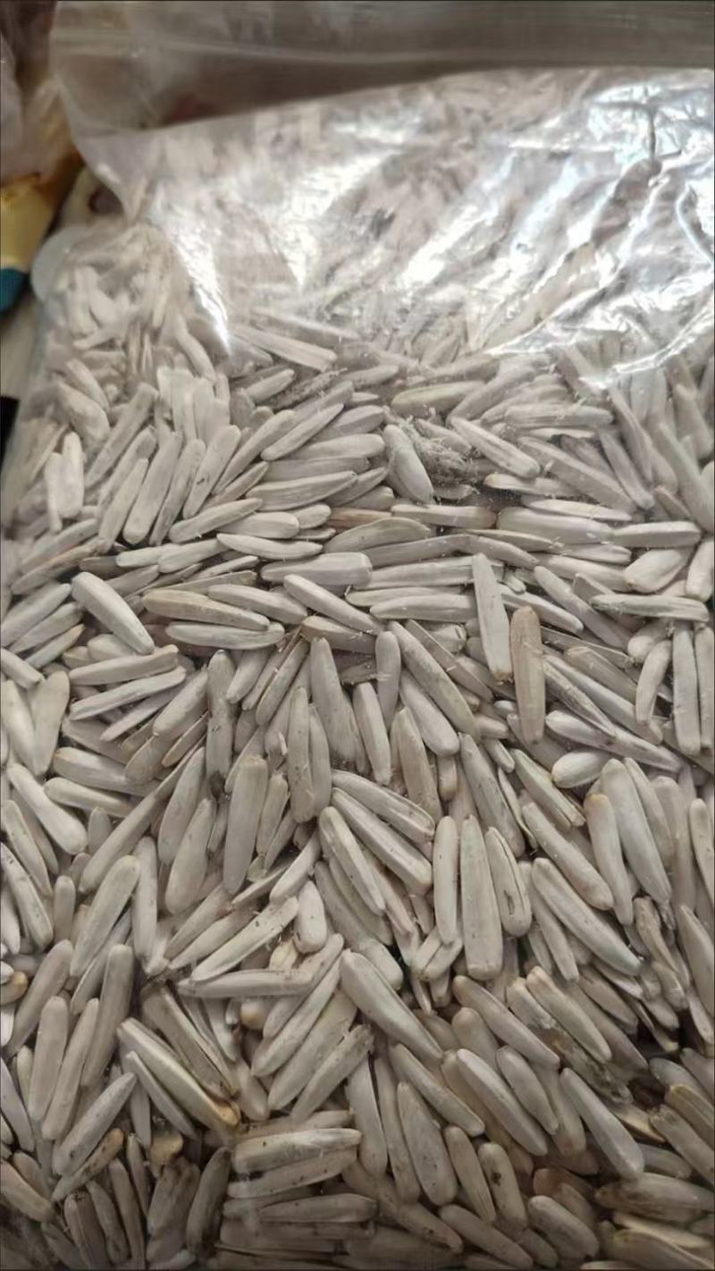 优质白皮牙签瓜子，大量好货，休闲必备零食，电商好品