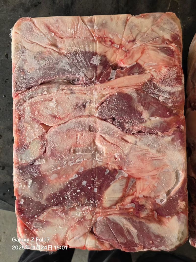 母猪连肝肉