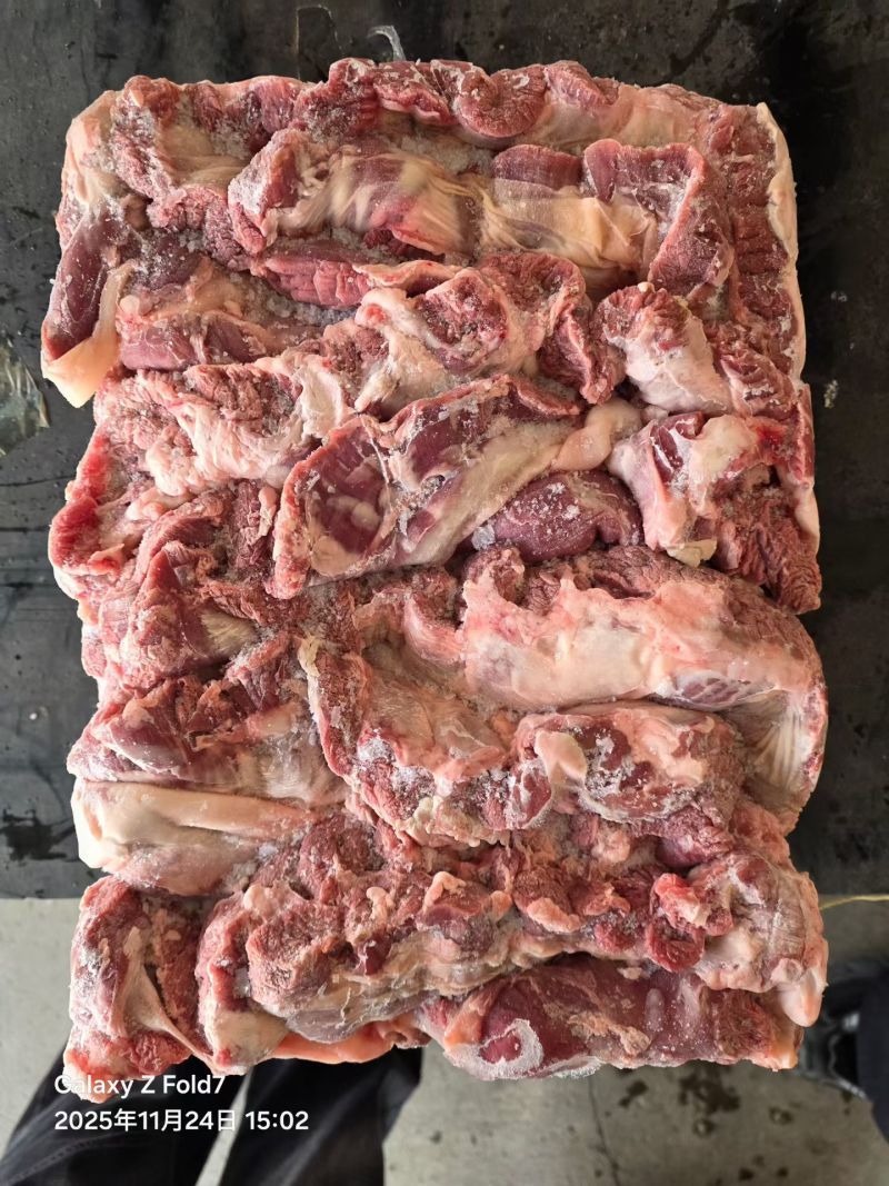 母猪连肝肉