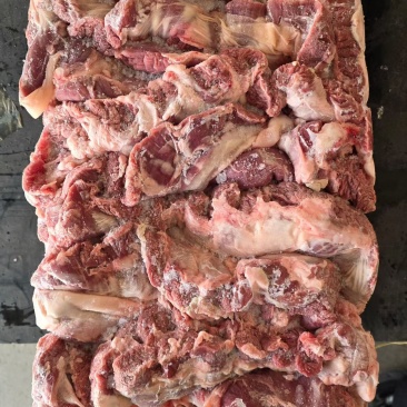 母猪连肝肉