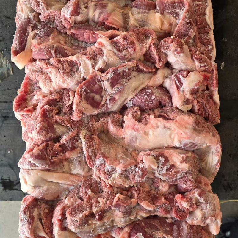 母猪连肝肉