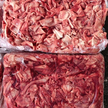 鼻骨皮
