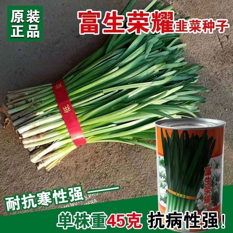 富生荣耀韭菜种子500g杂交大宽叶韭菜白根耐寒