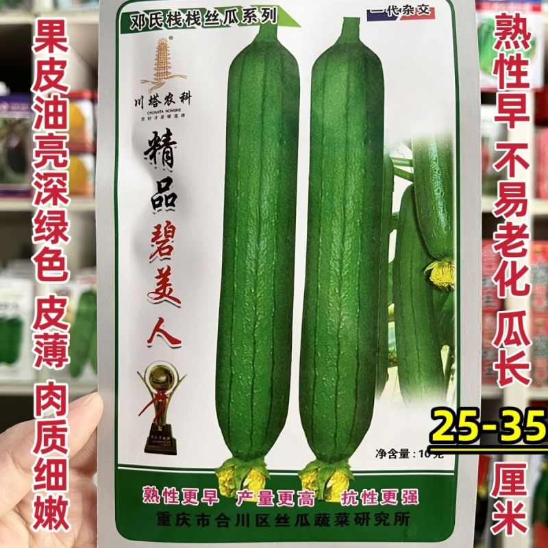 精品碧美人丝瓜种子多年杂交培育油亮丝瓜新品连续坐果力强