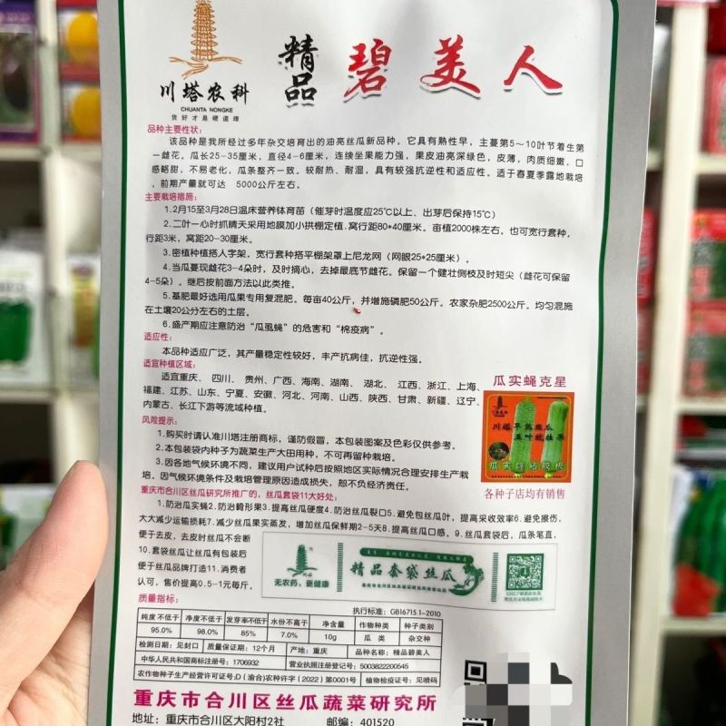 精品碧美人丝瓜种子多年杂交培育油亮丝瓜新品连续坐果力强