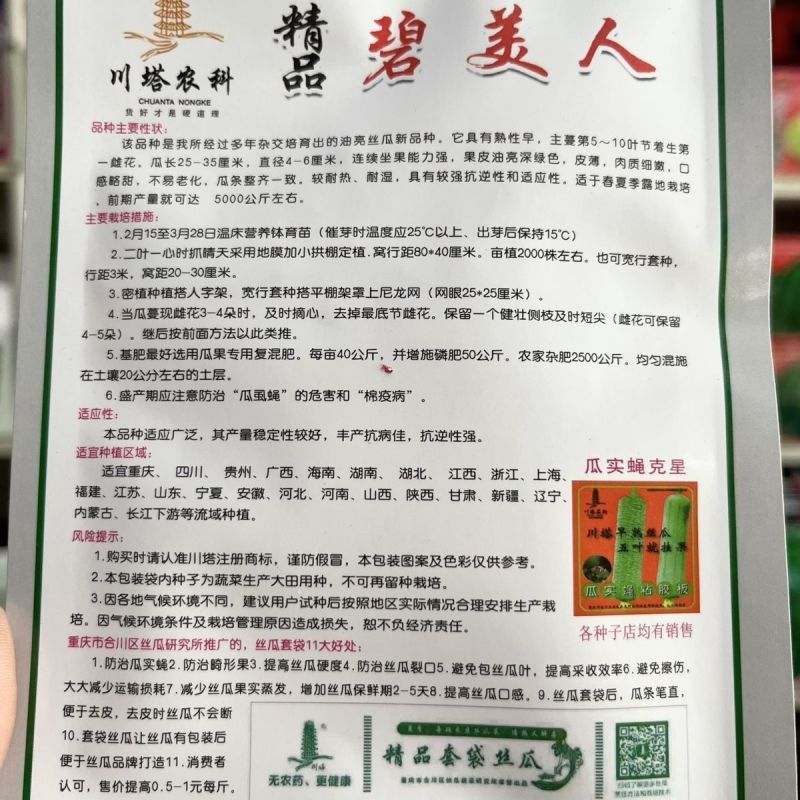 精品碧美人丝瓜种子多年杂交培育油亮丝瓜新品连续坐果力强