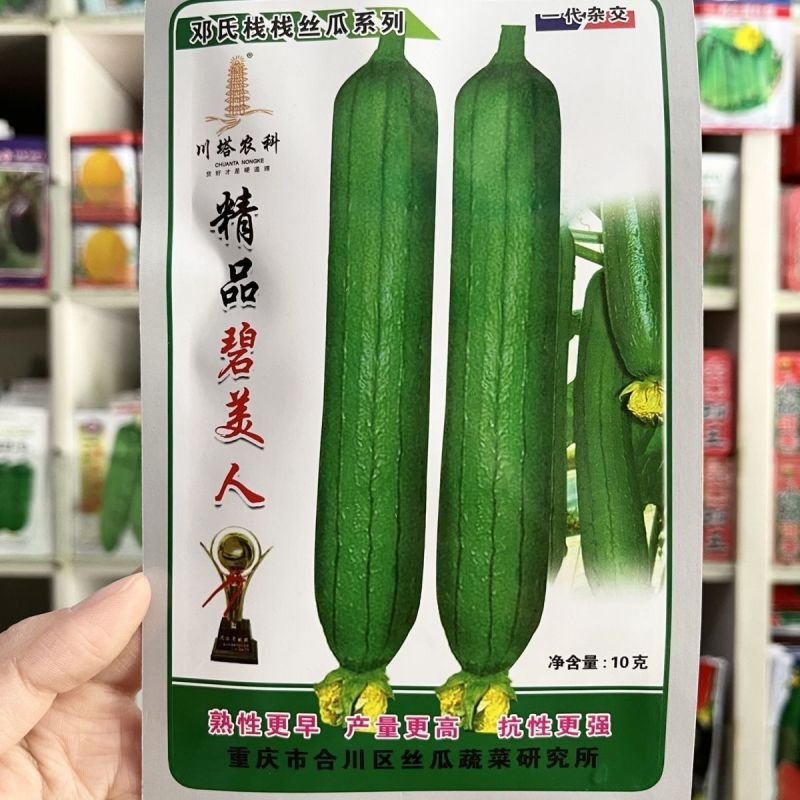 精品碧美人丝瓜种子多年杂交培育油亮丝瓜新品连续坐果力强