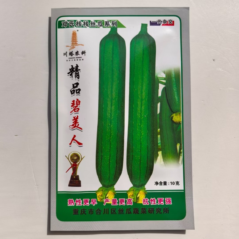 精品碧美人丝瓜种子多年杂交培育油亮丝瓜新品连续坐果力强