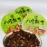 【梅菜扣肉】