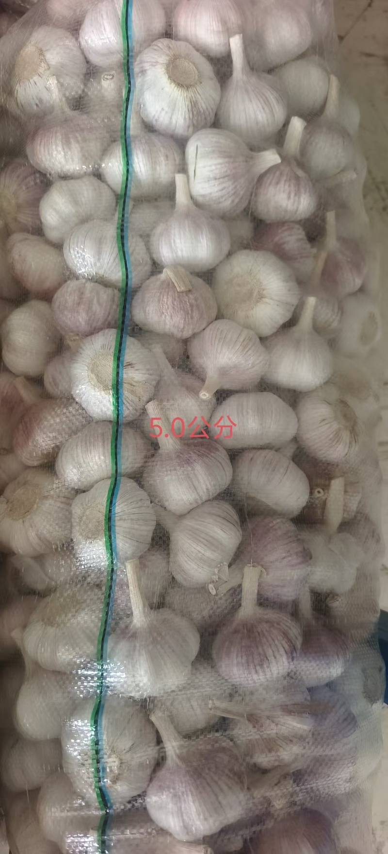 邳州精品大蒜产地直发