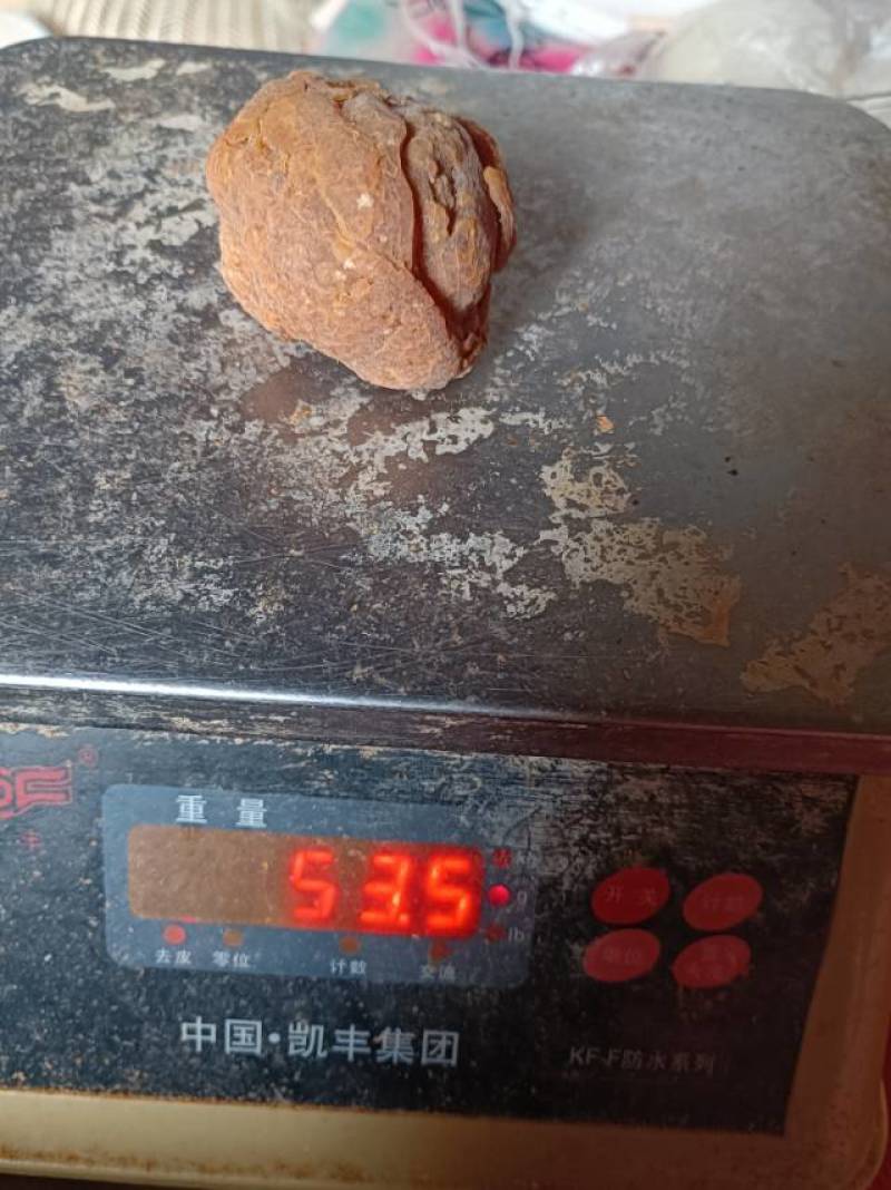 自然风干鸡宝一枚53克品相好色泽黄