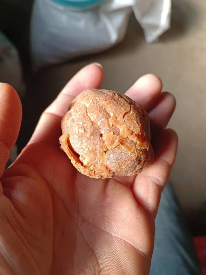 自然风干鸡宝一枚53克品相好色泽黄