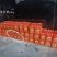 建阳橘柚现货都在福州