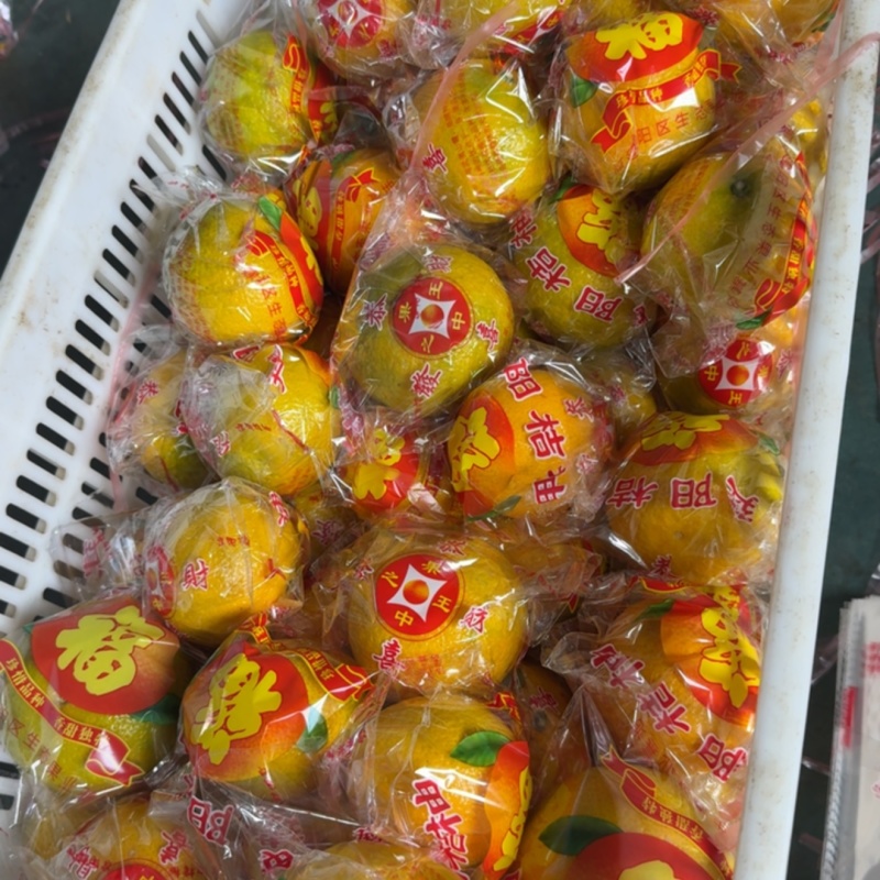 建阳橘柚现货都在福州