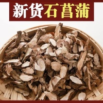 石菖蒲正品石菖蒲切片批发零售量大从优