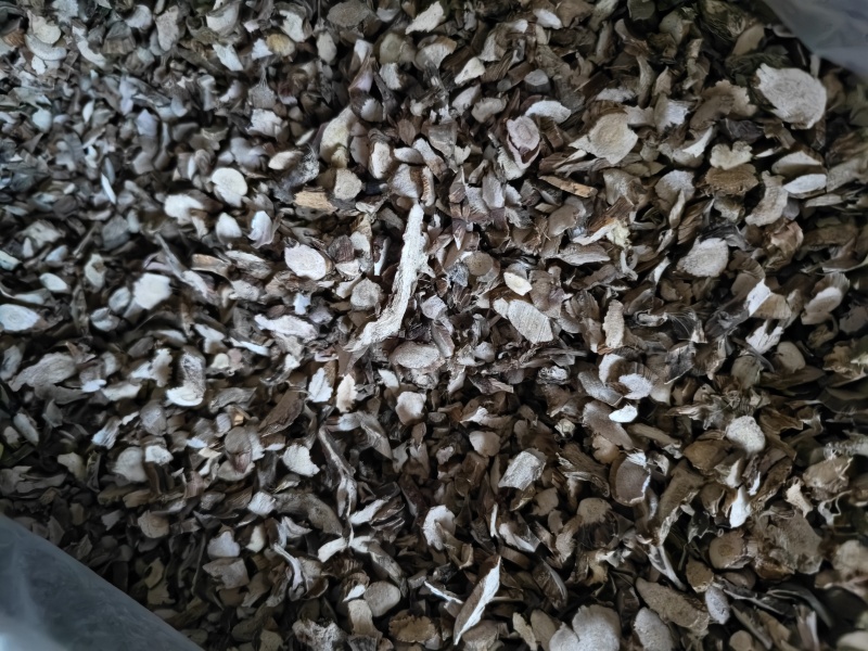 石菖蒲正品石菖蒲切片批发零售量大从优